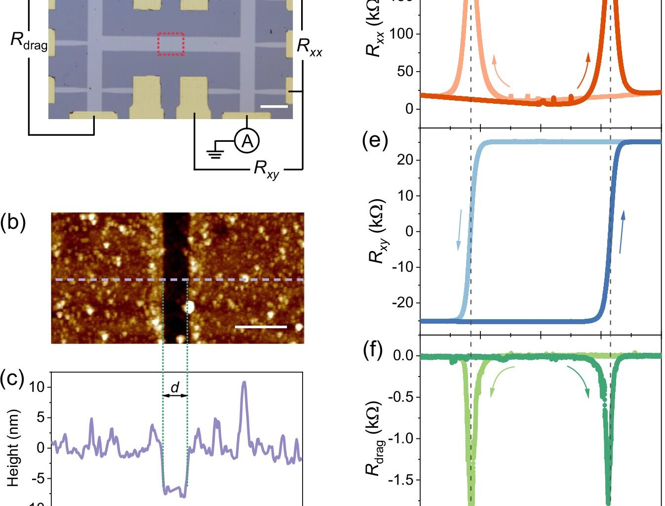 First observation of non-reciprocal Coulomb drag in Chern insulators reported