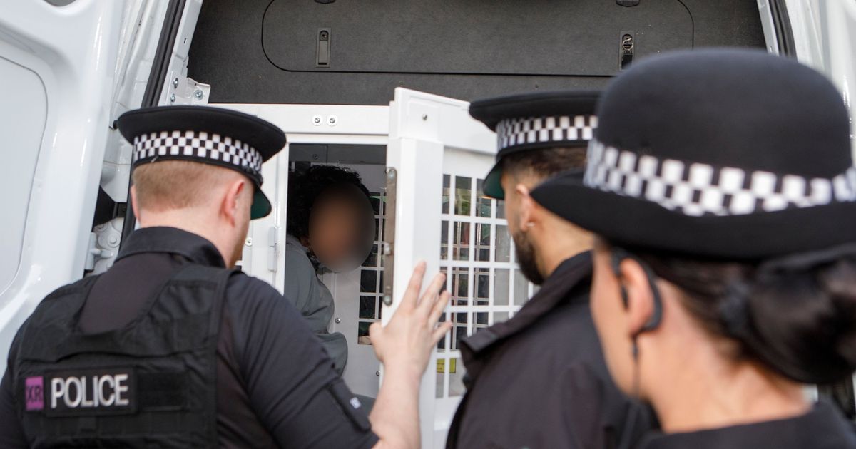 Teen, 18, suspected of selling 'knives, machetes and axes' online arrested in early morning raid