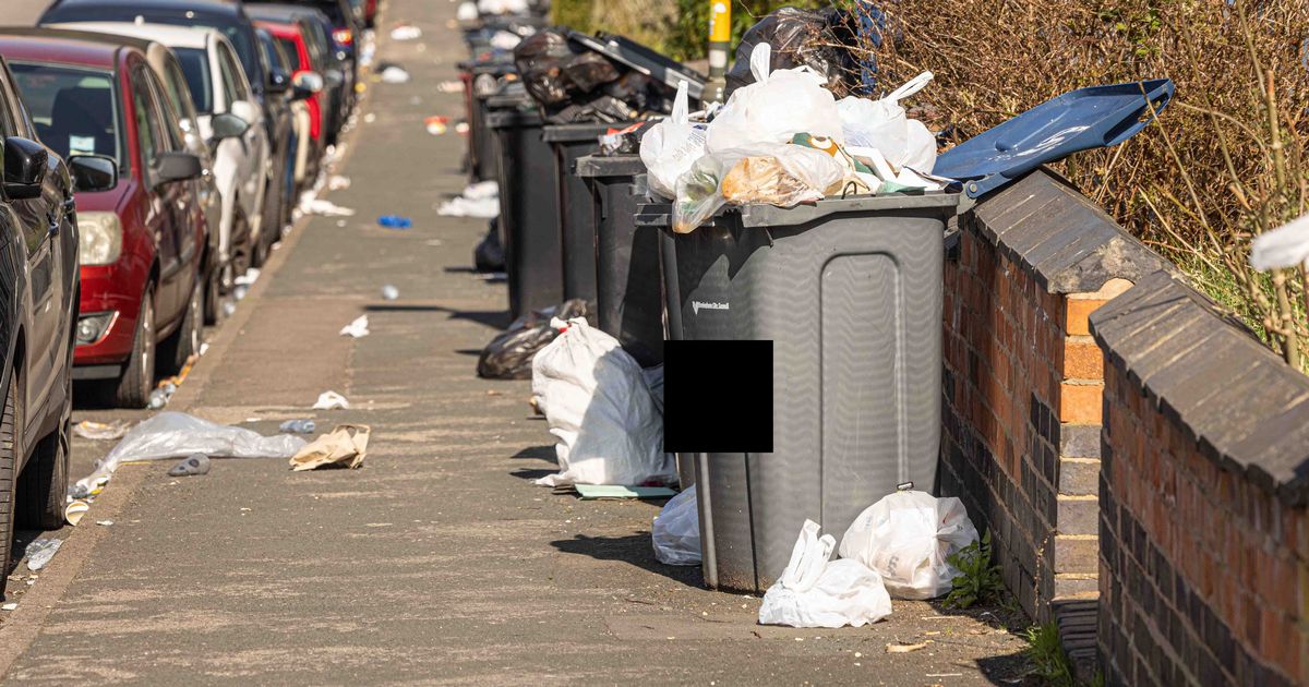 Fears that union pay cut anger could trigger more Birmingham bin strikes