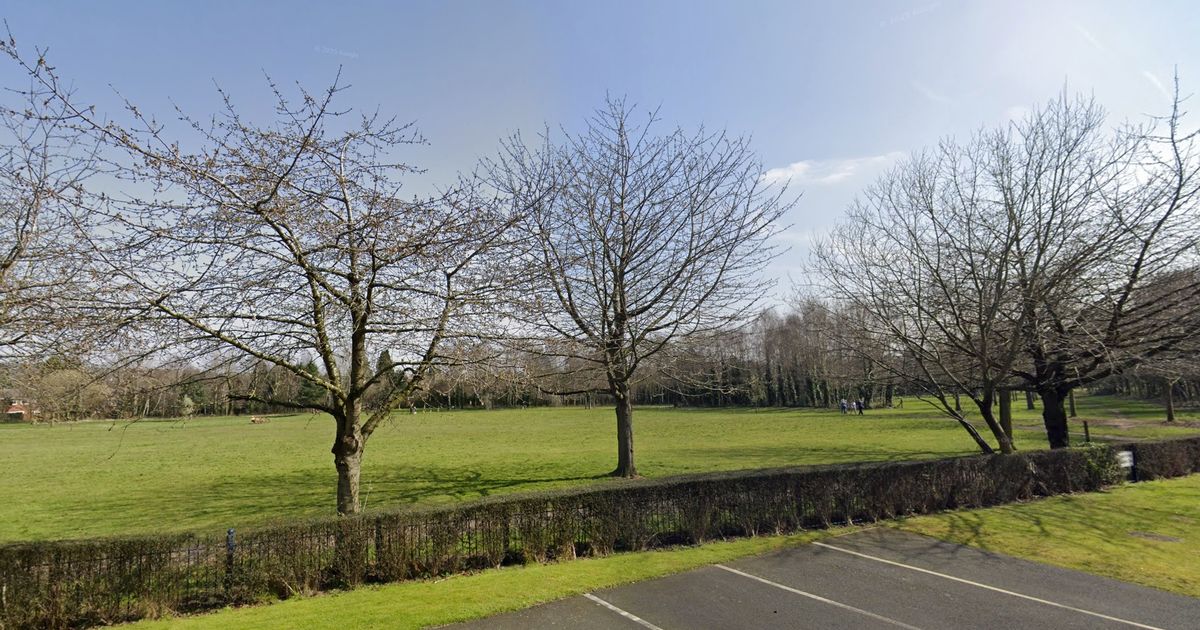 Gun found by children in Sutton Coldfield park