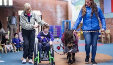 One Equine Trust: How a Shetland pony is helping transform the life of young Co Down boy with rare genetic disorder KAT6A syndrome