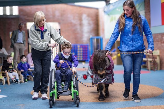 One Equine Trust: How a Shetland pony is helping transform the life of young Co Down boy with rare genetic disorder KAT6A syndrome