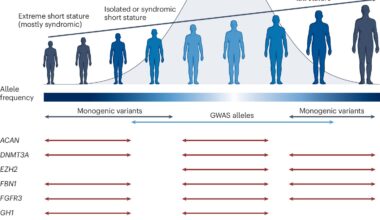 Genetic factors highlight the many ways health and height are linked