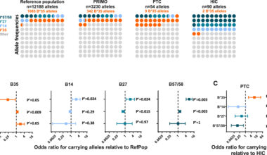 Genetic characteristics linked to long-term HIV remission after stopping treatment
