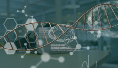 stock-photo-image-of-human-brains-scientific-data-processing-and-dna-strand-spinning-global-science-medicine-2530825687.jpg