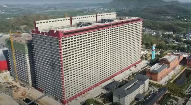 high rise farm