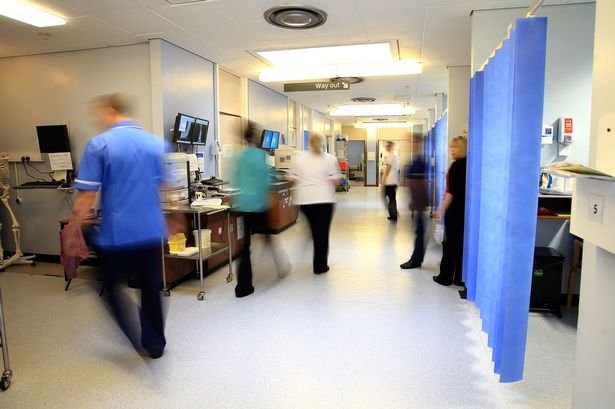 The UK Health Security Agency (UKHSA) has shared details about a "previously rarely detected" fungus