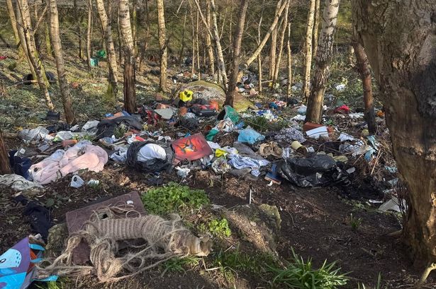 Business owner Adam Pope said the area around Westbrook Street, Grosvenor Street, and Gorton Street in Bolton is becoming "a disaster zone"
