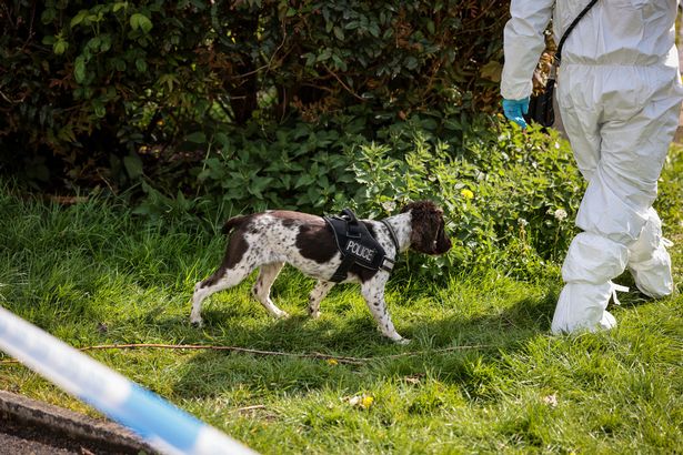 A search dog was among the response this morning