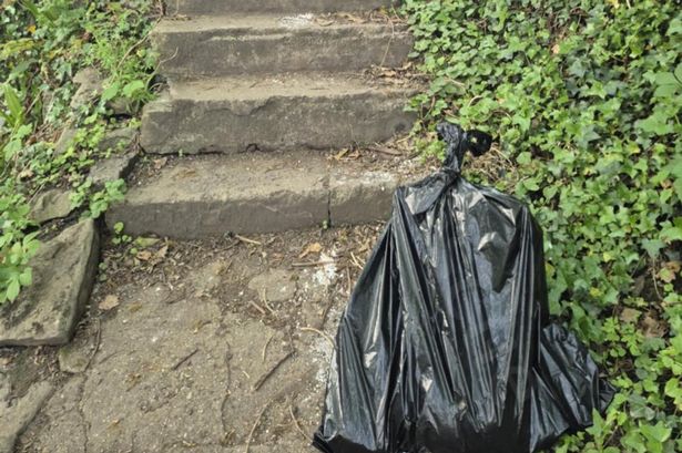 Images of a cat found dumped in a binbag on the 100 Steps path in Hanham, Bristol, discovered by Little Paws Rescue on Sunday, April 27
