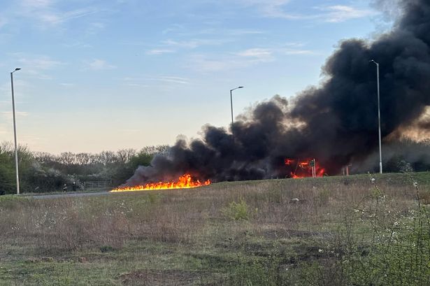 Flames spread to the nearby grassland 