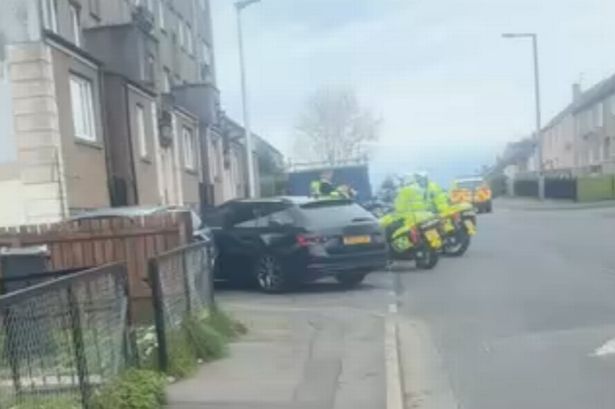 An image of police cars and motorbikes parked on a residential street.