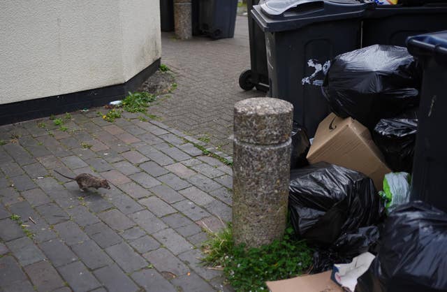 Birmingham refuse workers strike