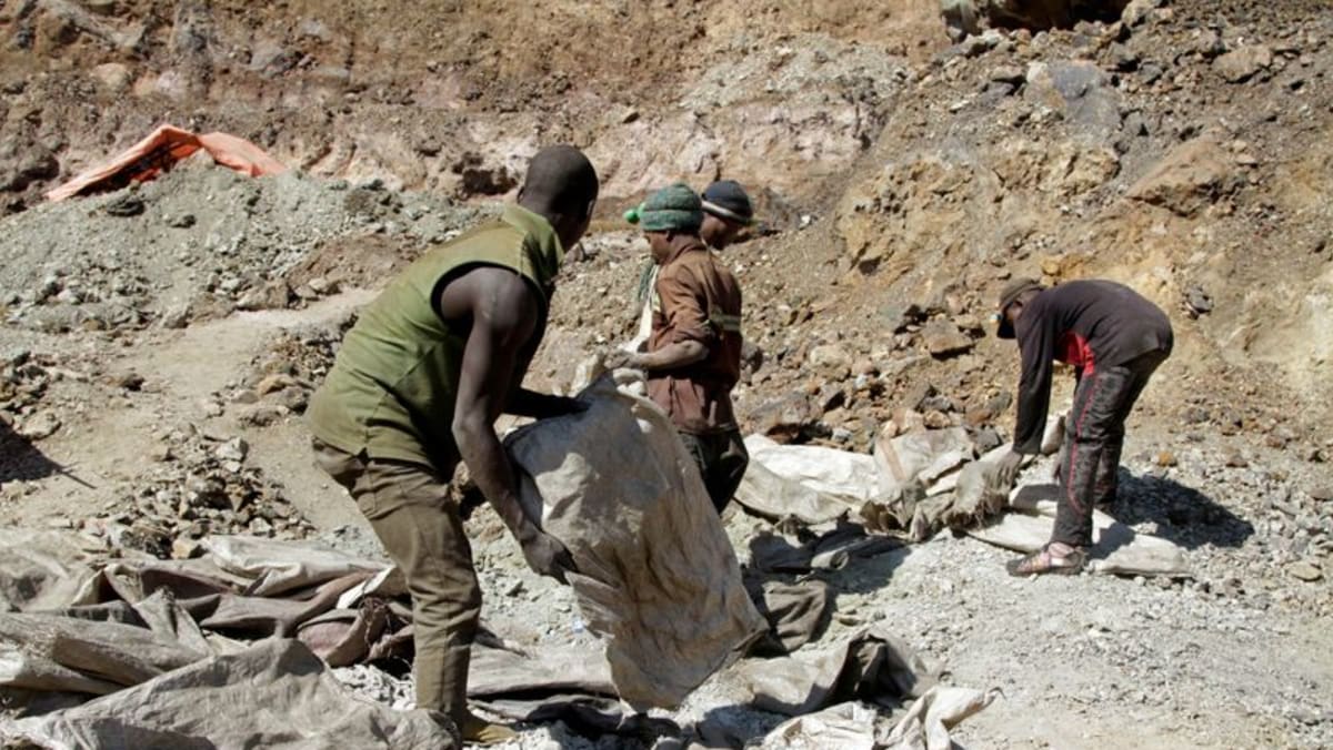 Congo eyes US military support in exchange for rare mineral access