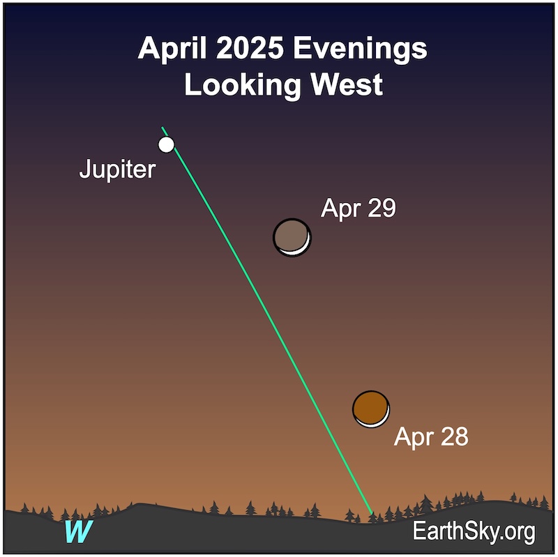 A thin crescent shape is above a line representing the horizon. A large dot, Jupiter, is upper left of the crescent. On the next evening, the crescent is higher and nears the large dot.
