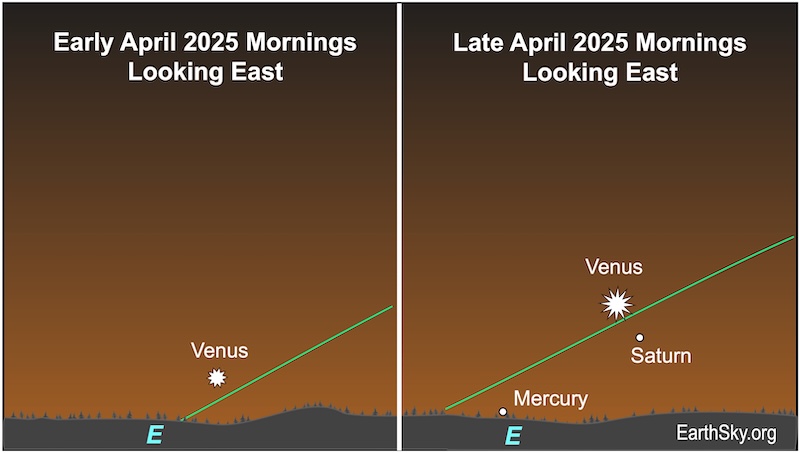 There are two charts. In the first showing the first half of April, a starred dot, Venus, lies low above a line representing the horizon. In the second showing the second half of April, the starred dot is above two smaller dots, Saturn and Mercury.