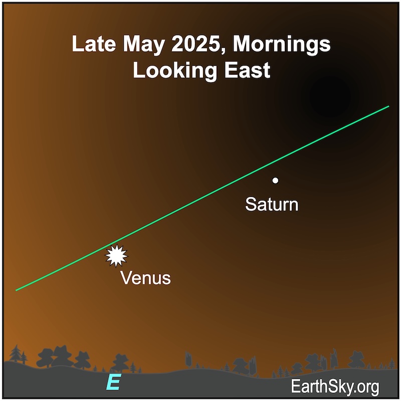 Chart with a starred dot representing Venus with a small dot, Saturn, sitting to its upper right. Both are above the wavy line of the horizon.
