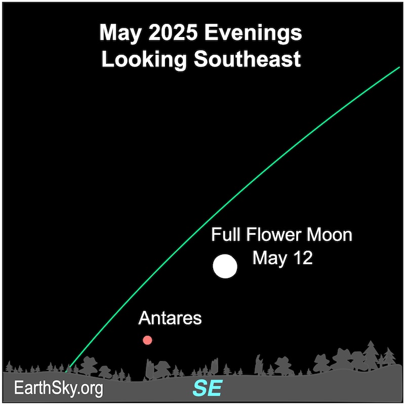 A disk, the full moon, lies above a dot, Antares. They are both above a wavy line, the horizon.