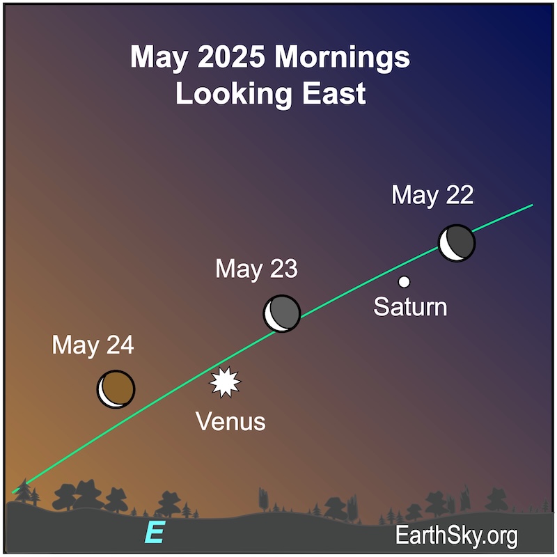 A crescent shape, the moon, lies left of a dot, Saturn and to the upper right of a starred dot, Venus. Then it moves on the following morning between the two dots. Then on the next morning, it moves left of the starred dot, Venus.