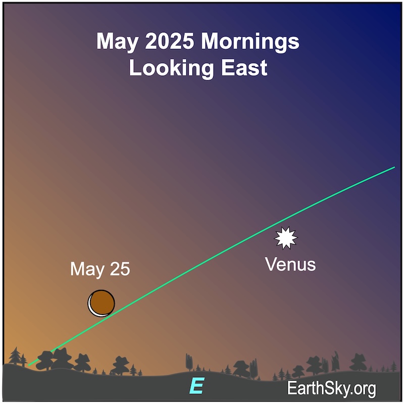 A crescent shape, the moon, lies left of a starred dot, Venus and above the wavy line of the horizon.