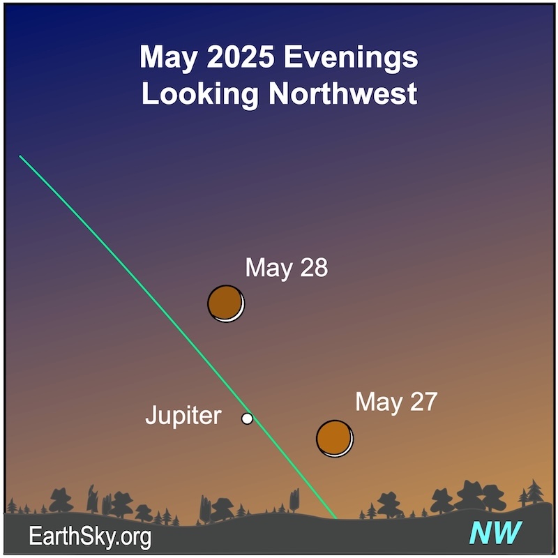 A thin crescent shape, the moon, is above a wavy line, the horizon. On the following evening, the crescent is higher. Jupiter lies between them.