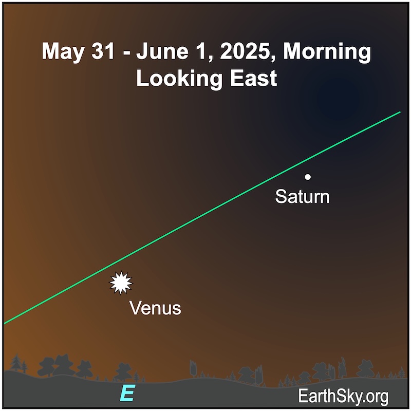 Chart with a starred dot representing Venus with a small dot sitting to its upper right. Both are above the wavy line of the horizon.