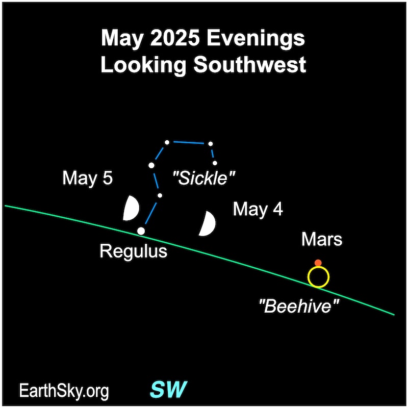 A hemisphere, the moon, moves passed a dot, Regulus, and five small dots forming the Sickle of Leo. Another dot, Mars, is to their right.