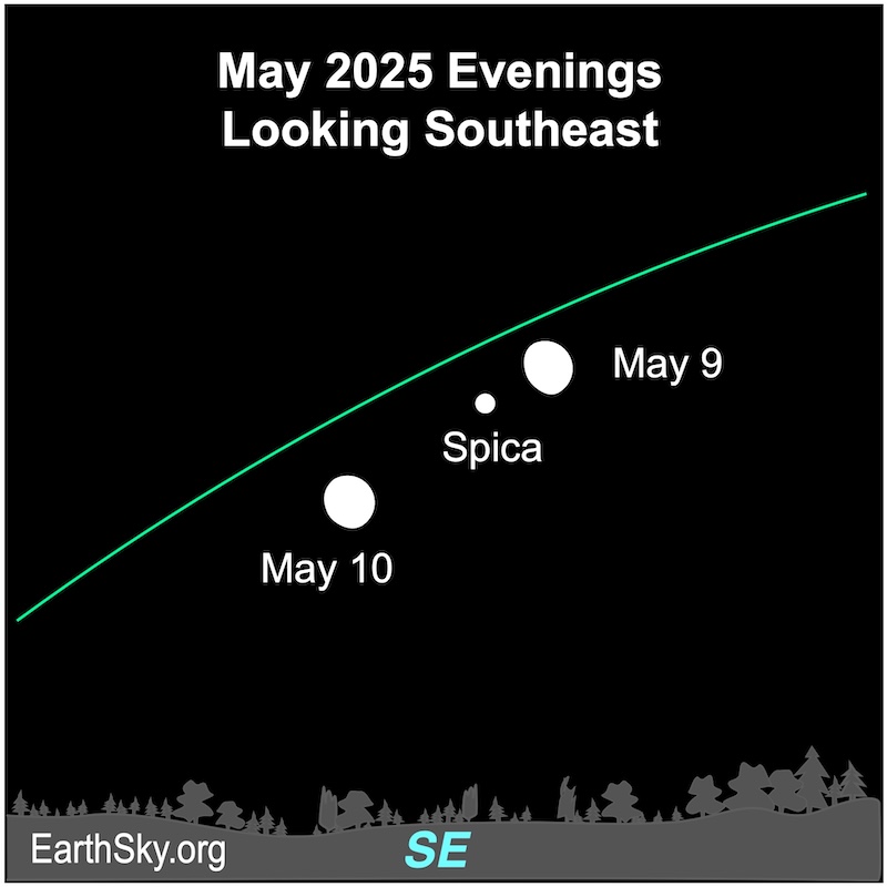 A fat hemisphere, the moon, lies to the upper right of a dot, Spica. Then it lies to Spica's lower left.