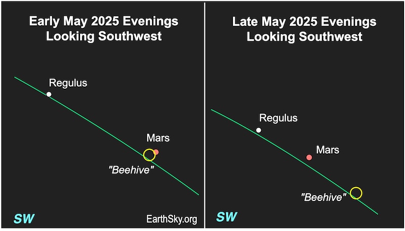 Two charts showing a dot, Mars, moving past a circle representing the Beehive star cluster and towards a dot, Regulus.