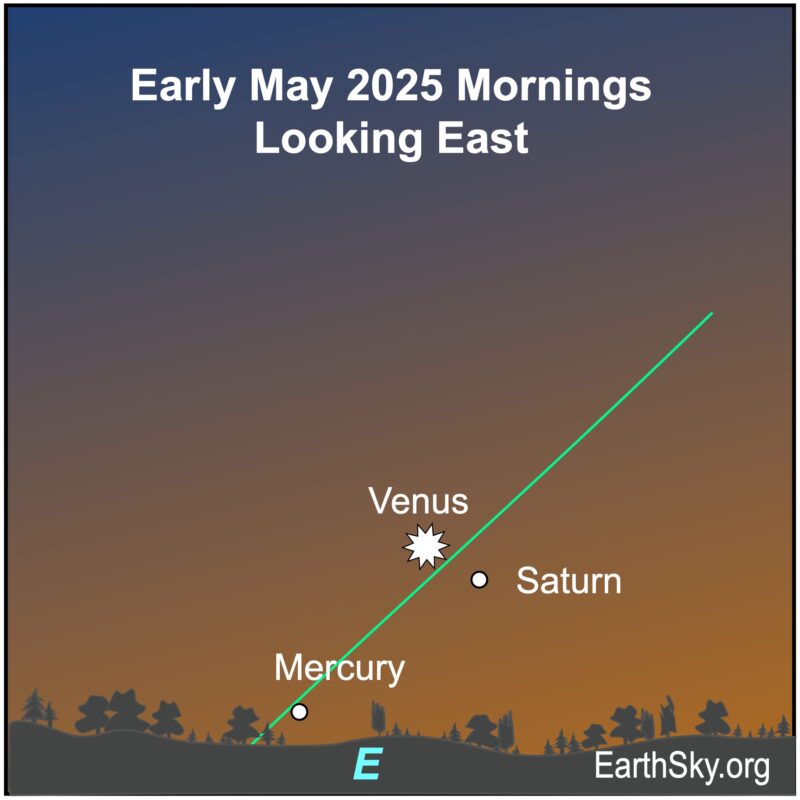 Star chart for Northern Hemisphere viewers showing a starred dot, Venus, near a small dot, Saturn. Both are above a small dot, Mercury, which is immediately above the wavy line of the horizon.