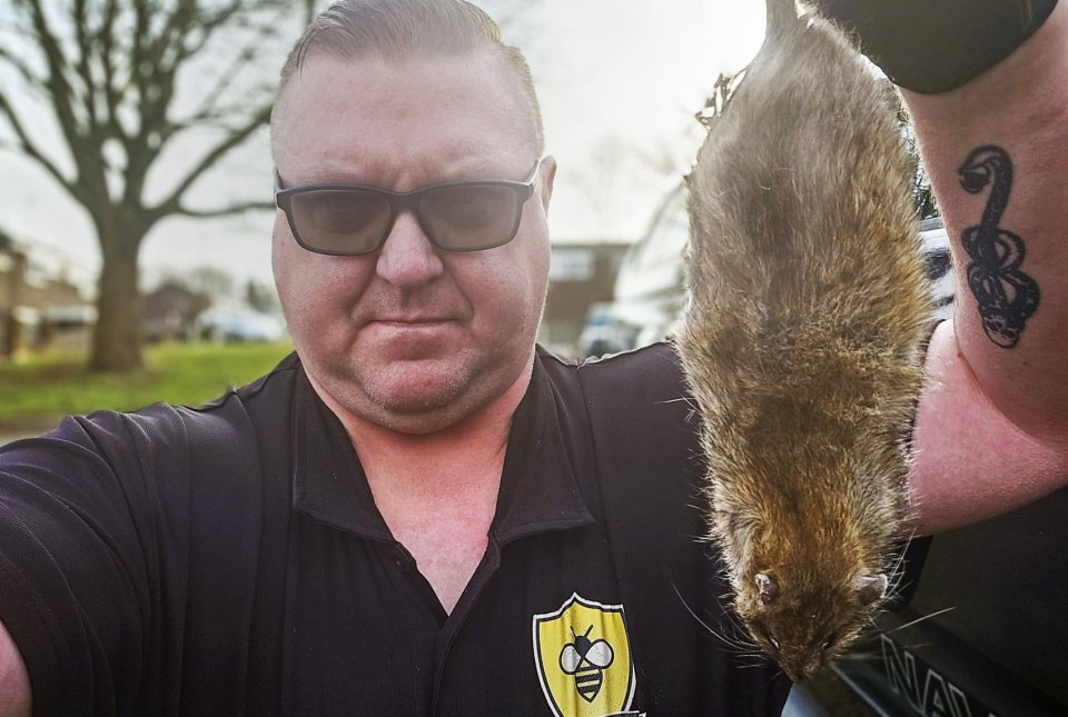Pest controller holding a large rat.