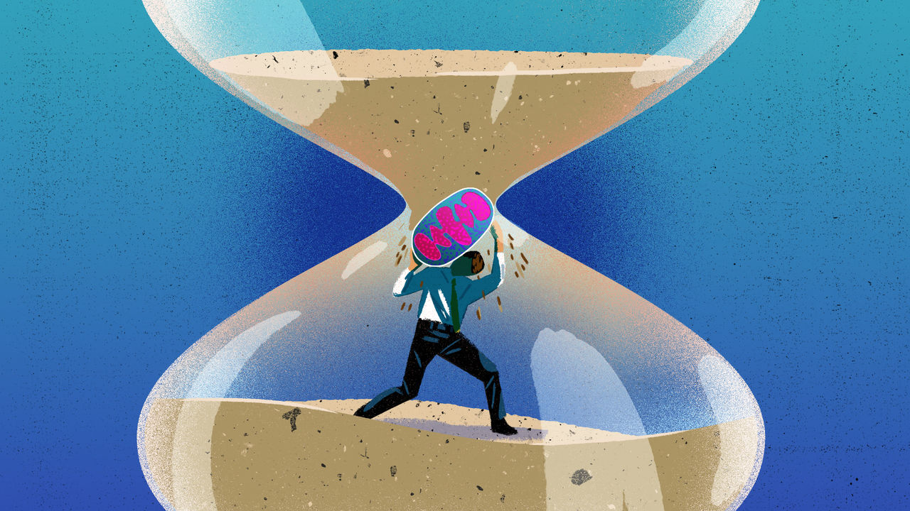 An illustration of a person in a sand timer holding up a mitochondrion  blocking the sand from falling through the gap.