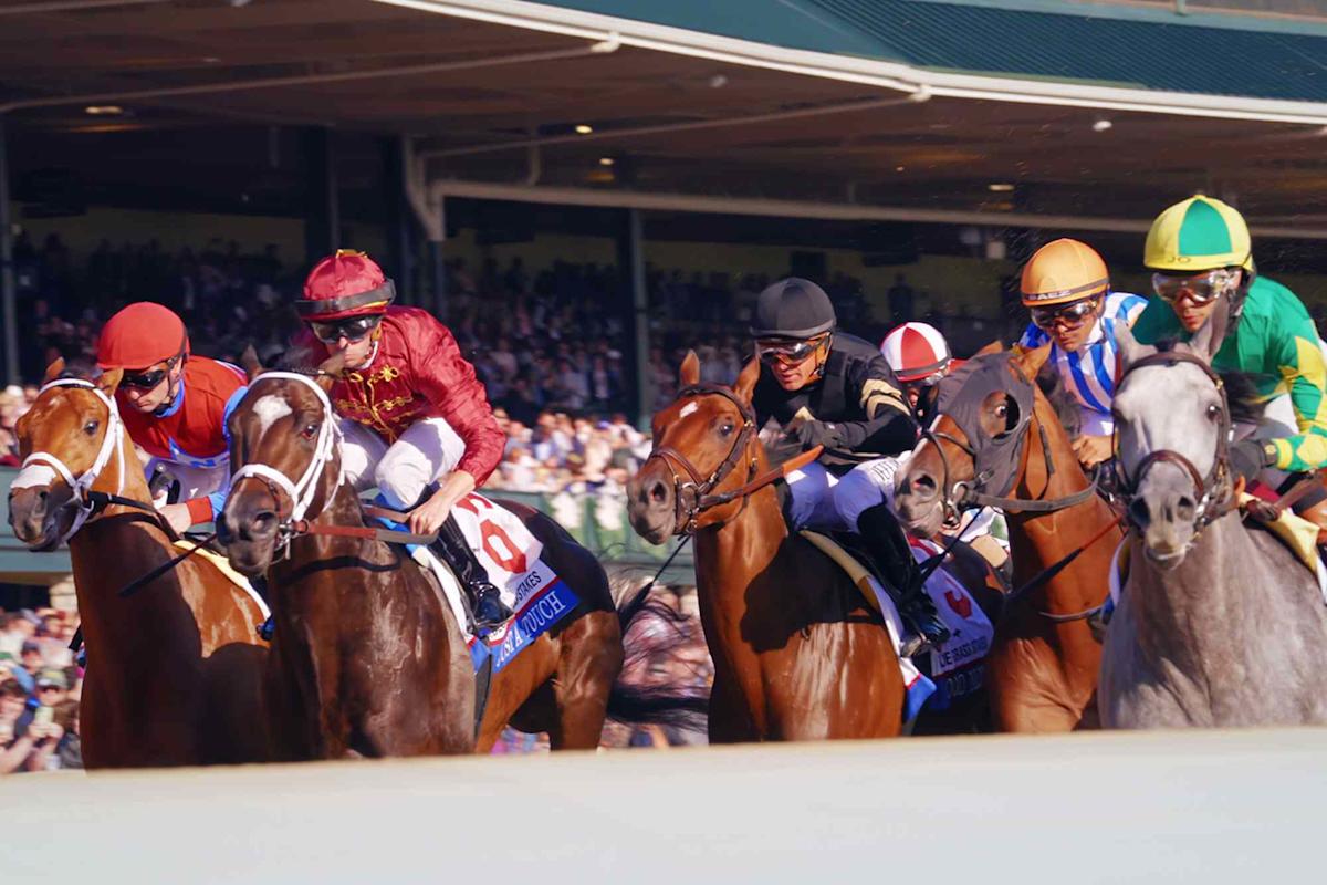 Meet the Stars of Netflix's “Race for the Crown ”(Including the Jockey Favored to Win the 2025 Kentucky Derby!)