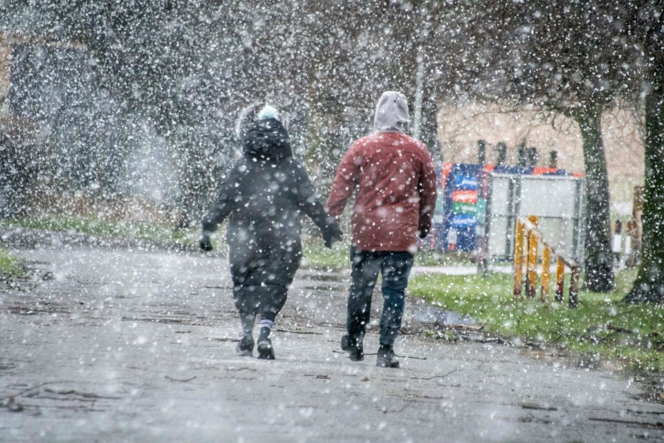 Couple walking hand-in-hand in the snow after a storm.