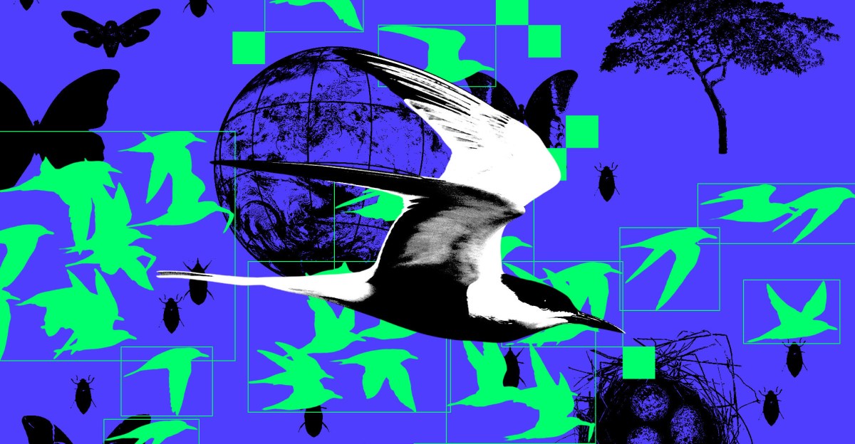 How AI is reshaping wildlife conservation — for better or worse