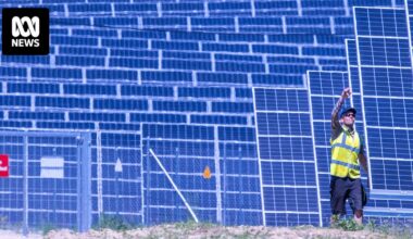 As the debate around renewables and nuclear continues, here is what the experts say