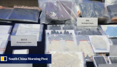 Hong Kong immigration officers arrest 43 in crackdown on illegal employment