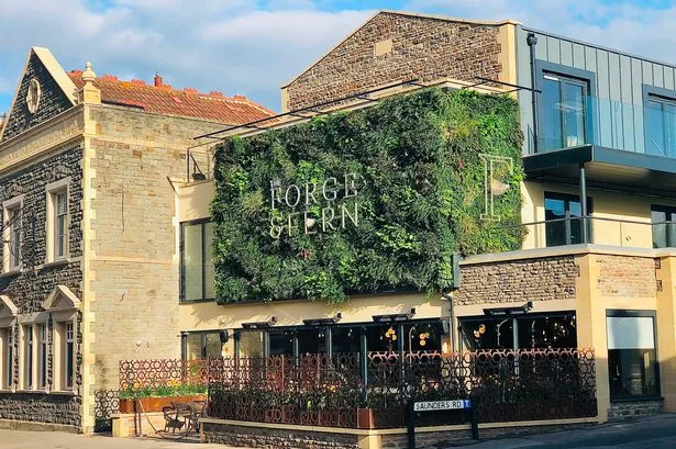 The Forge & Fern on Broad Street in Staple Hill