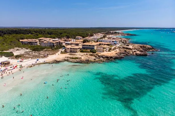 Mallorca has a pest problem