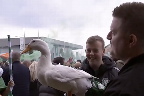 One Parkhead punter has brought his pet duck along to mark the occasion