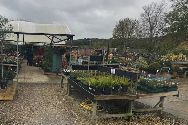 Riverside Garden Centre in Bristol