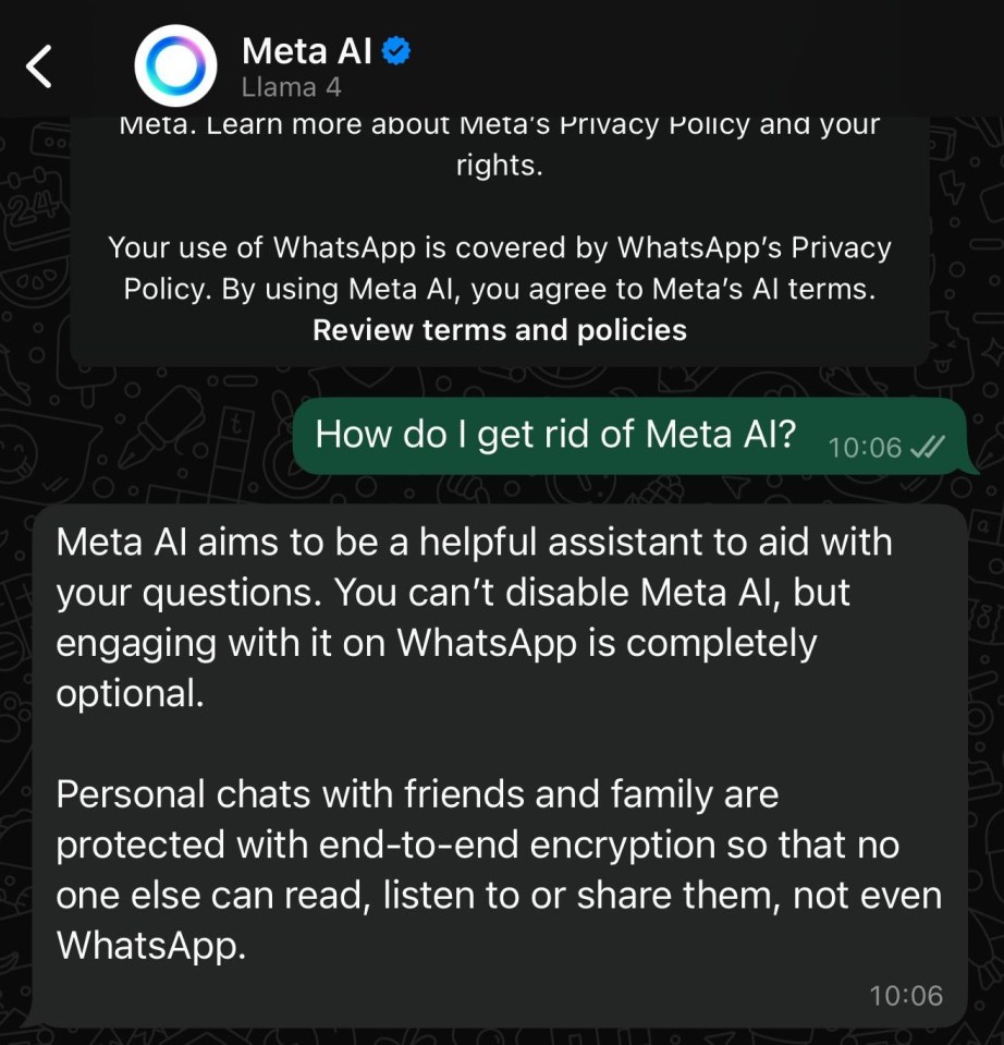 WhatsApp screen showing Meta AI information and keyboard.