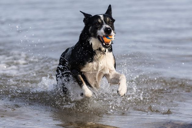 ‘Very warm sunshine’ expected as near record-breaking April temperatures forecast