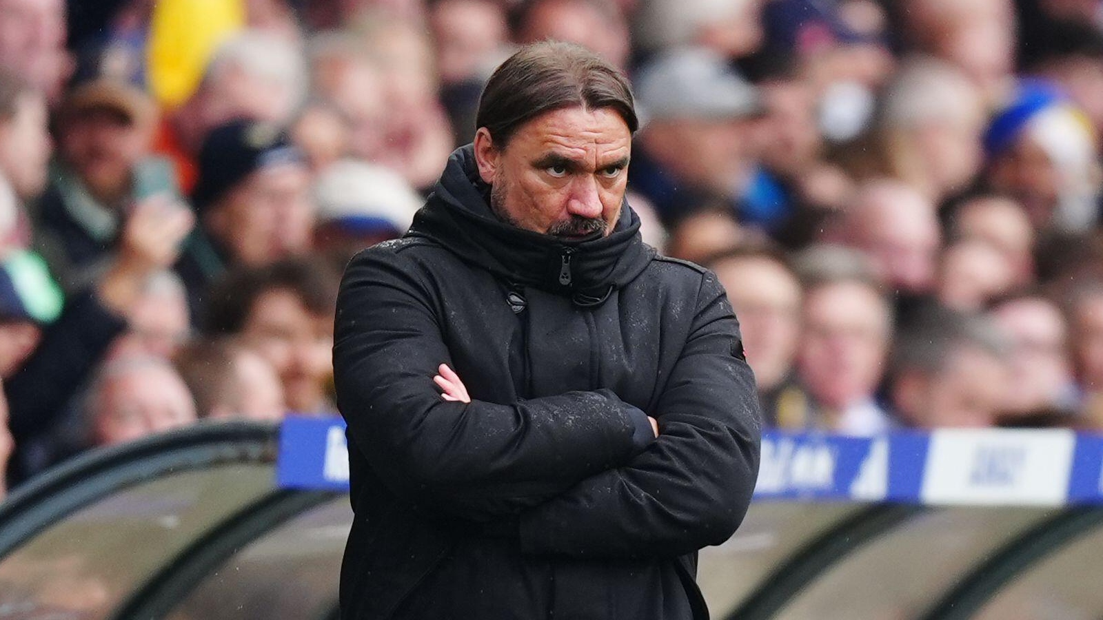 Daniel Farke faces sack despite promotion to Premier League