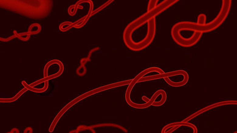 Duke University Worm Study Suggests Genetics Might Play a Role in Susceptibility to PFAS Toxicity