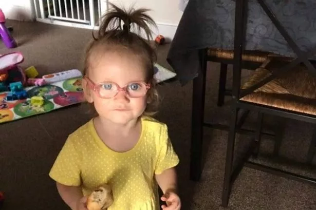 Hailey Thompson was just 22 months old when she died