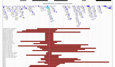 Vascular Ehlers Danlos Syndrome and Chromosome 2q32 Microdeletion Syndrome