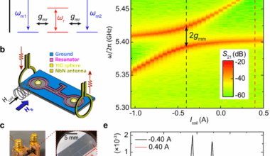 Single-shot magnon interference in a magnon-superconducting-resonator hybrid circuit