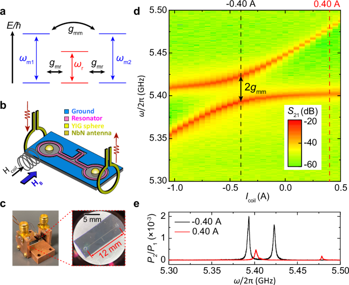 Single-shot magnon interference in a magnon-superconducting-resonator hybrid circuit