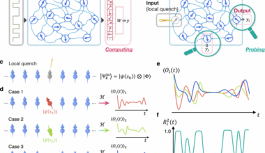 Quantum reservoir probing of quantum phase transitions